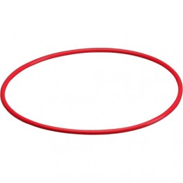 Olympus POL-053 O-ring originale per custodia Olympus PT-053 Olympus POL-053 O-ring originale per custodia Olympus PT-053