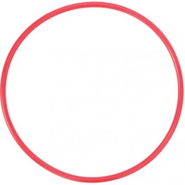 Olympus POL-054 O-ring originale per custodia Olympus PT-054 Olympus POL-054 O-ring originale per custodia Olympus PT-054