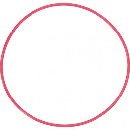 Olympus POL-050 O-ring Originale per custodia Olympus PT-050 Olympus POL-050 O-ring Originale per custodia Olympus PT-050