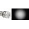 Inon Illuminatore LE-350 Type2