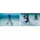 Inon UW Tripod Hub