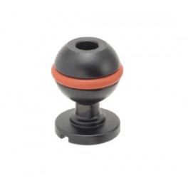 Inon Shoe Base BALL Head Sfera da 25mm Inon Shoe Base BALL Head Sfera da 25mm