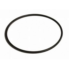 Inon Replacement O-ring for Dome Lens Unit II Inon Replacement O-ring for Dome Lens Unit II