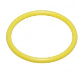 Inon Spare O-ring for MRS Front Port