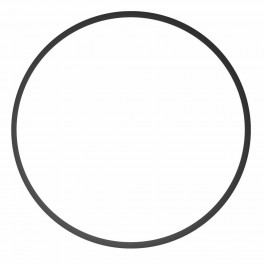Ikelite O-Ring 0134.44 per Obl&ograve; DL Port System,Ultra compact 