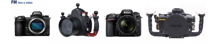 DSLR & Mirrorless